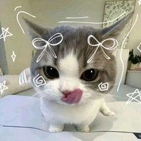 t/g