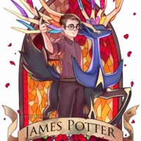 James Potter 