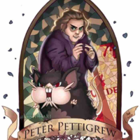 Peter Pettigrew