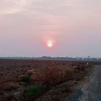 tác giả 