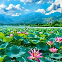 tất cả các thành viên gia đình việt