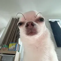 TG