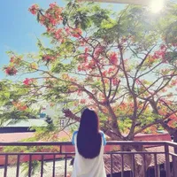 nhỏ t/giả