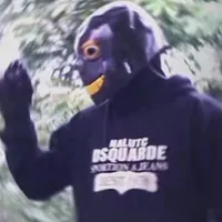 error sans