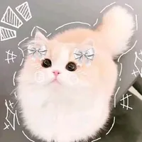 t/g cute