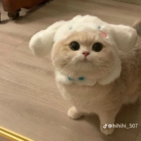 yu tác giả
