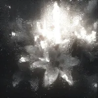 ？？？