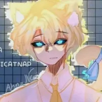 Anti catnap
