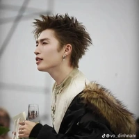 Võ Đình Nam