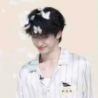 Meo Meo