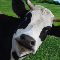 tác giả cuteeee