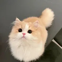 Min