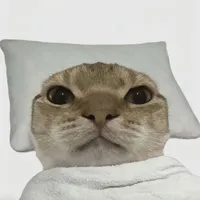 tác giả 