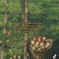NVP