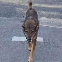 t/g đây🐶
