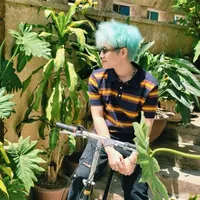 Tớ là tác giả