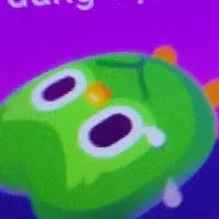 duolingo (killer)