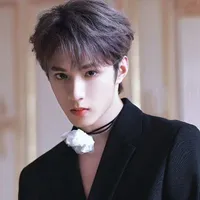 Lưu Diệu Văn ( Anh họ nư9 )