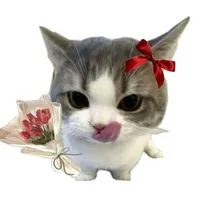 t/g–người siu cuteo