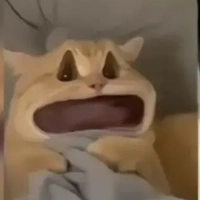 Yihu nè /⁠ᐠ⁠｡⁠ꞈ⁠｡⁠ᐟ⁠\