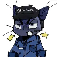 Security. (@meolix1 - tiktok).