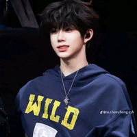 Trần Dịch Hằng_em