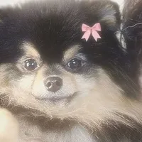 YeonTan