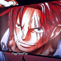 Shanks