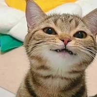 t/g moi tiền