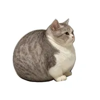 Giả