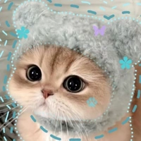 t/gֶֶָָྀི֢֢🐟ೀ
