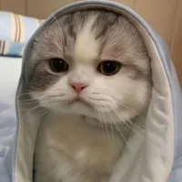 Mèooo