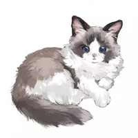 Maomao 