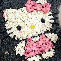 Tác giả cte hột me sô cô lee