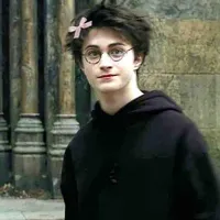 cậu chủ Harry