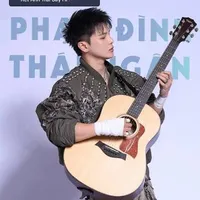 Phạm Đình Thái Ngân