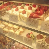𝑩𝒂𝒌𝒆𝒓𝒚 - @BakeryTurtle.