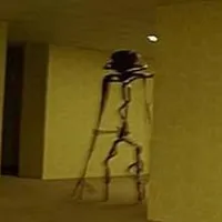 Entity 0