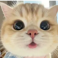 💓