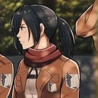 Mikasa