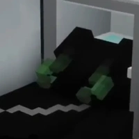nvphụ