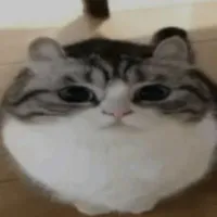 tg