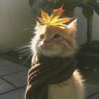 T/g cute