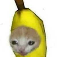 t/g