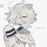 Chip