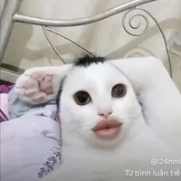 cô lao công