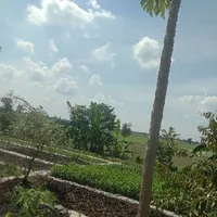 lari(hệ thống 122)