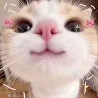 Ryyu