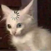xili