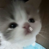 tg "tốt tính"